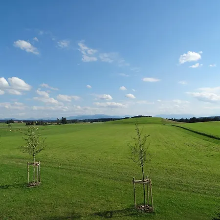 公寓 Wallberg